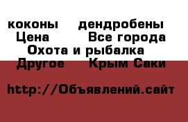 коконы    дендробены › Цена ­ 25 - Все города Охота и рыбалка » Другое   . Крым,Саки